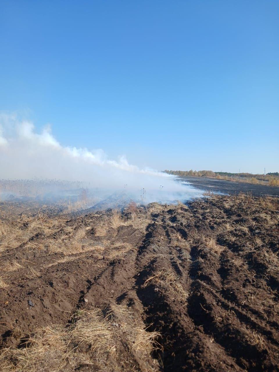 Произошло повторное возгорание отходов лузги семян подсолнечника..