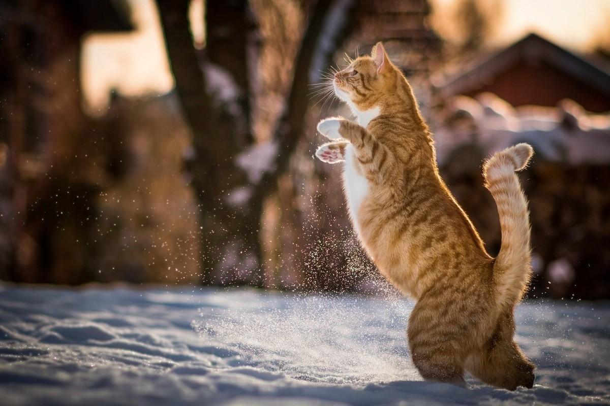 Прогноз погоды на 17 декабря..